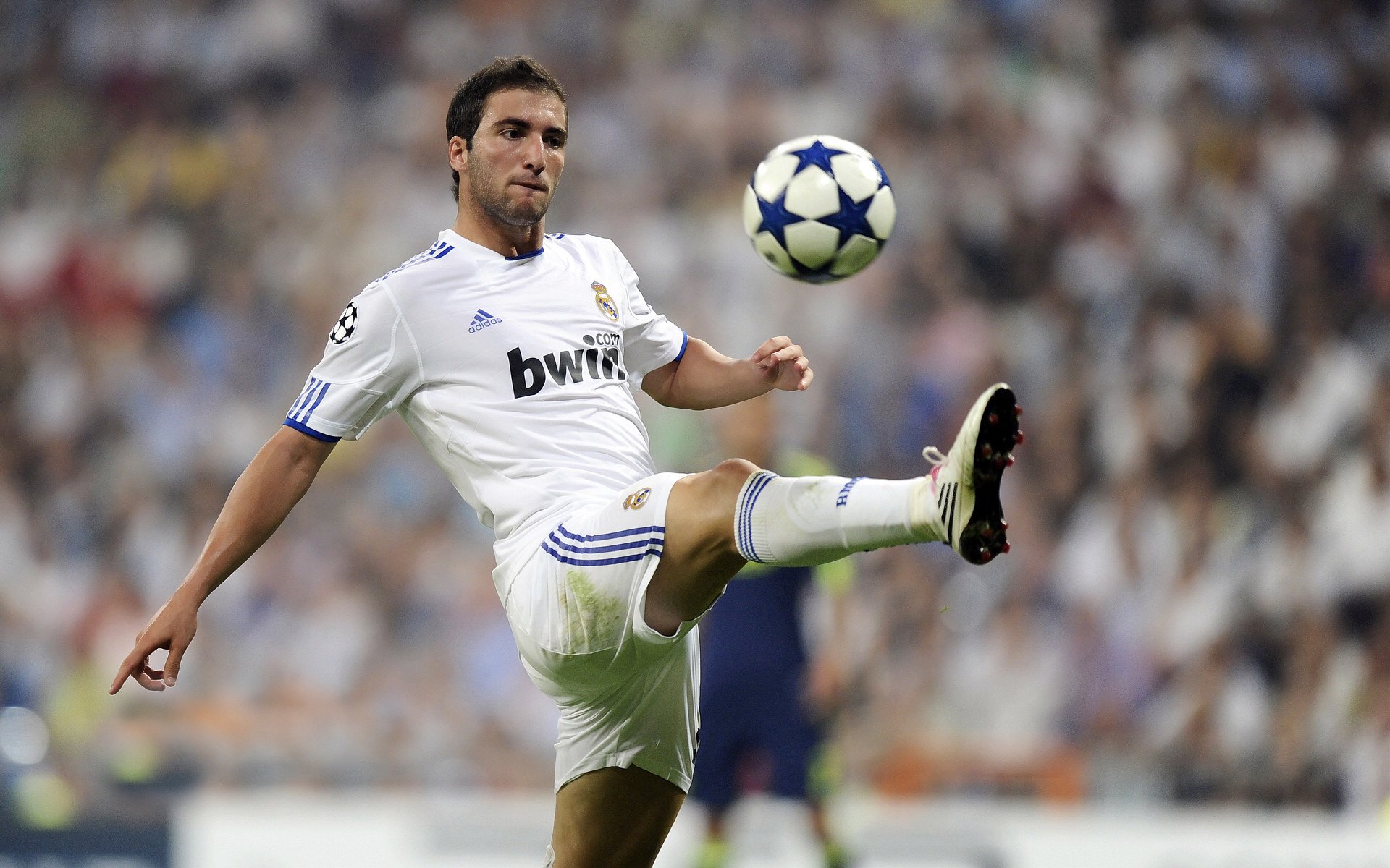 -沃尔夫斯堡主场惨败，战绩遭遇滑坡，沃尔夫斯堡队员名单