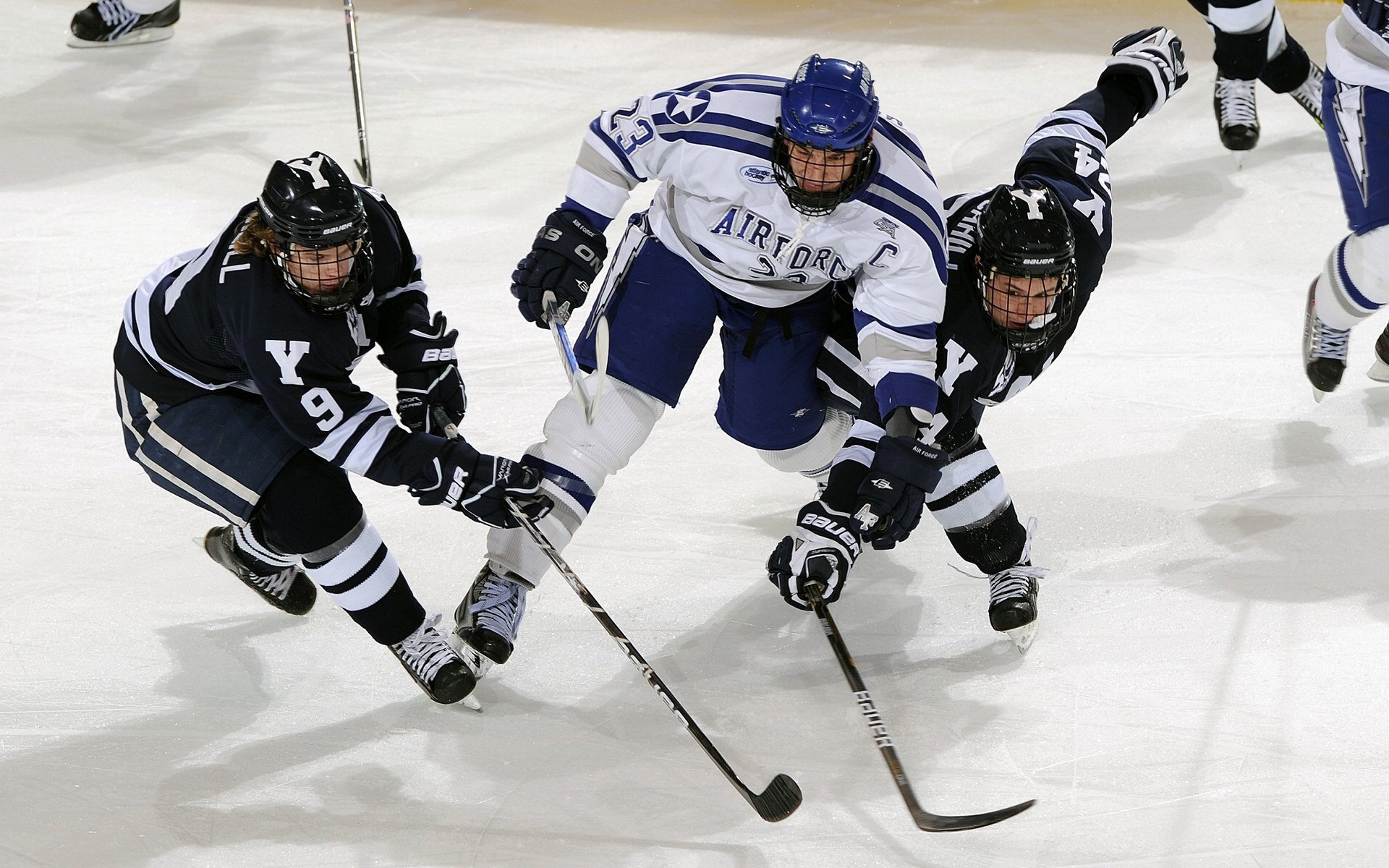 阿尔阿赫利防守体系稳定可靠，阿尔阿赫利哈米斯