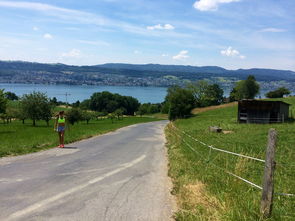 九游娱乐中心-“缆绳滑水：东桃花岛赛场呈现全新水上运动魅力”