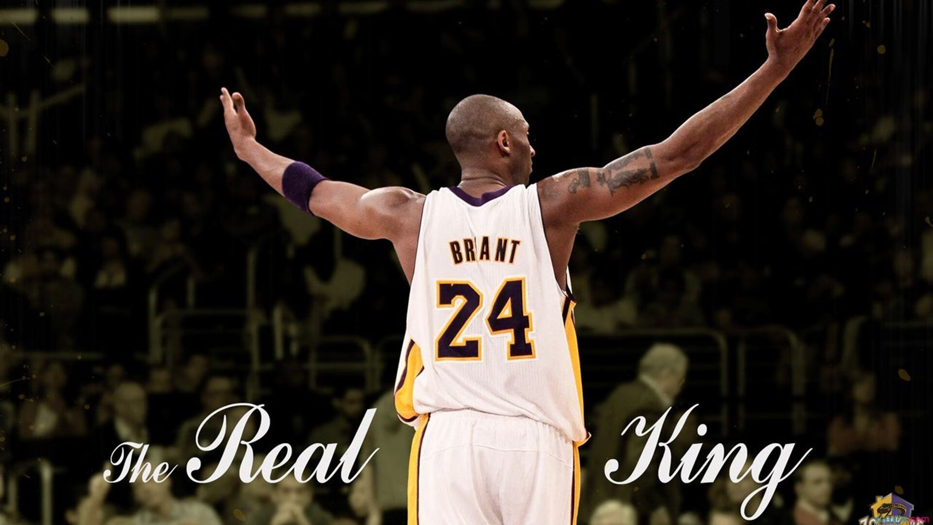 中国篮球联赛观众消费行为及偏好分析,中国篮球群众基础