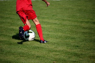 九游下载中心-冬奥场馆智能系统协助运动员热身训练，冬奥会设备
